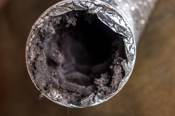 Best Duct Cleaning Specialists  in Struthers, OH